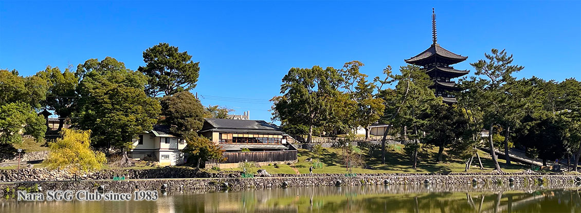猿沢池と興福寺